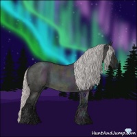 Horse Color:Platinum Midnight Silver Brown Ice Roan Dun