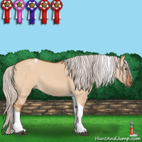 Horse Color:Silver Bay Dun Sabino Tobiano Rabicano 