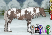 Horse Color:White Spotted Silver Black 