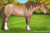 Horse Color:Brown Pearl 