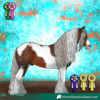 Horse Color:Silver Brown Tobiano Frame 