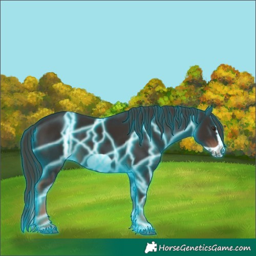 Horse Color:Thunderstruck Liver Chestnut Splash Frame 