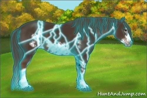 Horse Color:Thunderstruck Liver Chestnut Splash Frame 
