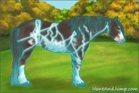 Horse Color:Thunderstruck Liver Chestnut Splash Frame 