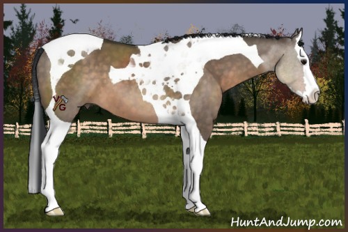 Horse Color:Brown Dun Splash Tobiano