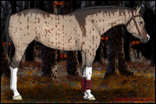 Horse Color:Brown Dun 