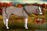Horse Color:Liver Red Dun Roan Splash