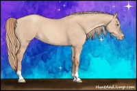 Horse Color:Gold Champagne Dun Brindle 