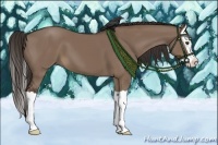 Horse Color:Liver Red Dun Splash