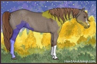 Horse Color:Liver Red Dun Roan 