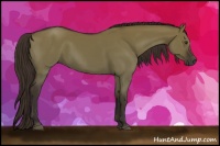 Horse Color:Liver Red Dun Sabino 