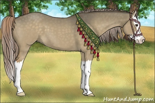 Horse Color:Chocolate Palomino Roan Dun Splash