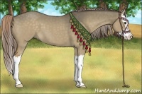 Horse Color:Chocolate Palomino Roan Dun Splash