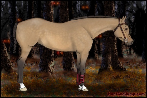 Horse Color:Buckskin Roan Dun
