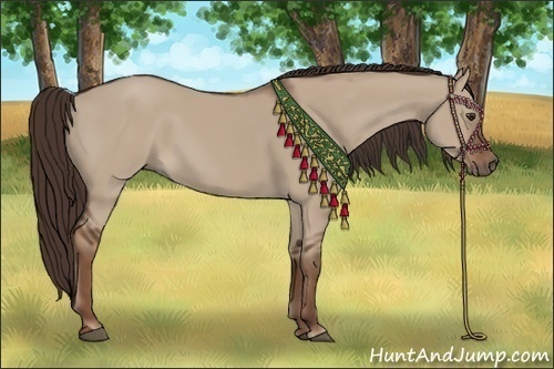 Horse Color:Liver Red Dun 