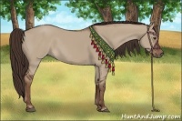 Horse Color:Liver Red Dun