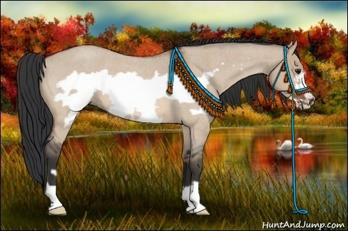 Horse Color:Bay Roan Dun Frame 