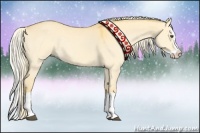 Horse Color:Palomino Dun Splash 