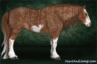 Horse Color:Chestnut Splash Frame  and Gray Chestnut Splash Frame 