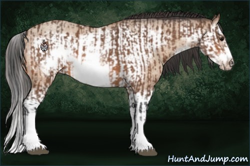 Horse Color:Bay Roan Splash Frame  and Amber Champagne Roan Splash Frame 