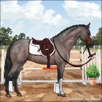 Horse Color:Bay Roan 