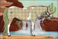Horse Color:Watercolor Plaid Liver Chestnut Tobiano