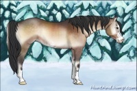 Horse Color:Brown Onyx Sabino 