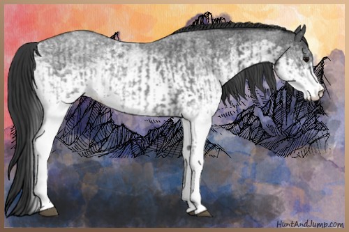 Horse Color:White Spotted Blue Roan Rabicano  and White Spotted Blue Roan Rabicano 