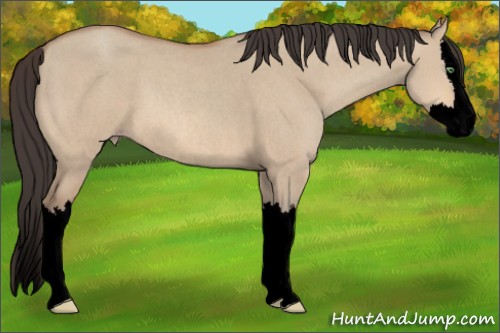 Horse Color:Void Amber Champagne Roan Dun Splash