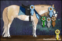 Horse Color:Chestnut Pearl Sabino 