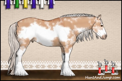 Horse Color:Silver Bay Dun Sabino Frame 