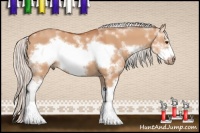 Horse Color:Silver Bay Dun Sabino Frame 