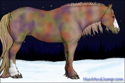 Horse Color:Nacre Chestnut 