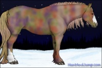 Horse Color:Nacre Chestnut 