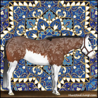 Horse Color:Bay Ice Splash 