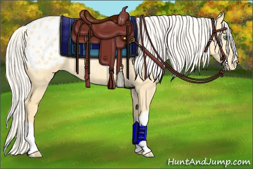 Horse Color:Silver Amber Cream Champagne Dun Blanket Rabicano