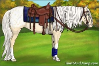 Horse Color:Silver Amber Cream Champagne Dun Blanket Rabicano 