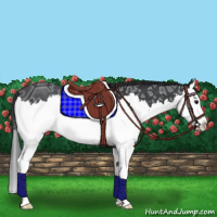 Horse Color:Black Ice Splash 