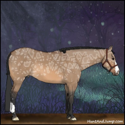 Horse Color:Bay Ice Dun 
