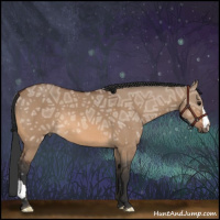 Horse Color:Bay Ice Dun