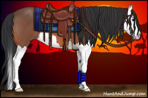 Horse Color:Bay Roan Splash 