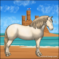 Horse Color:Buckskin Pearl Tobiano  and Buckskin Roan Pearl 