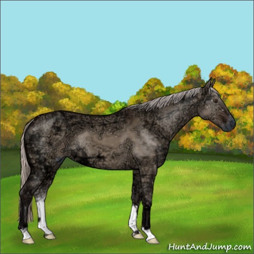 Horse Color:Silver Brown Ice Dun 