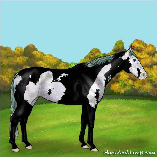 Horse Color:Watercolor Grullo Ice Pearl Splash Tobiano 