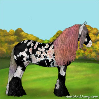 Horse Color:Nacre White Spotted Brown Ice Splash Appaloosa