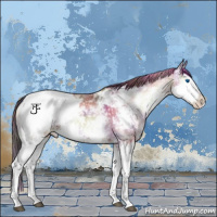 Horse Color:Nacre White Spotted Brown Ice Onyx Splash Appaloosa 