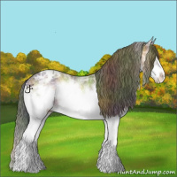 Horse Color:Nacre White Spotted Bay Ice Onyx Splash Frame Appaloosa Rabicano 