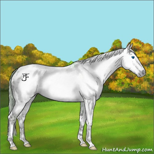 Horse Color:Gray Plaid  Liver Red Onyx Ice Splash Appaloosa 