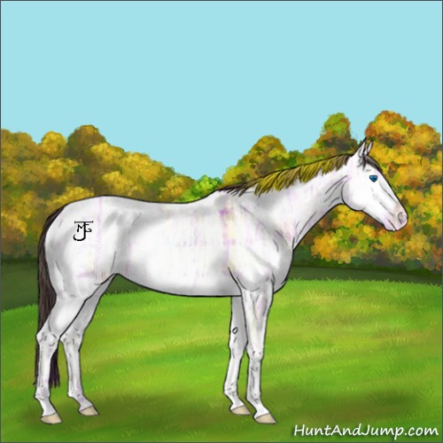 Horse Color:Plaid  Amber Champagne Ice Splash 