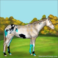 Horse Color:Plaid Red Onyx Ice Roan Frame Varnish Rabicano